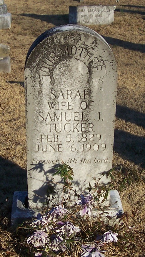 Sarah Lovell, 1829–1909